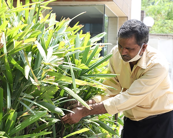 Horticulture