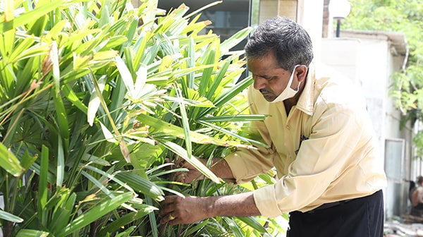 Horticulture